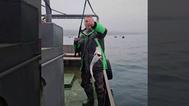 Минтай и камбала на пилькеры  от Mr.Musurok🔥