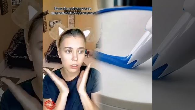 истории и асмр