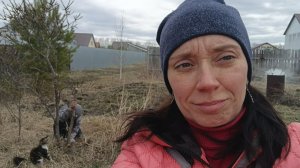 Привезли доски для пристроя. Спилили деревья.