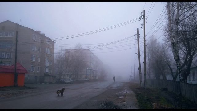 С. Гандлевский. Сначала мать отец потом... Памяти родителей