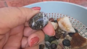 Элла Австралия Я ОбАлДеЛа Нашла коробки на свалке а там клад Не свалка а антикварный магазин