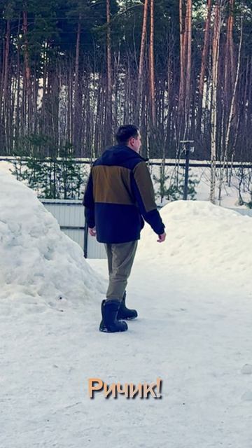 Учу питбуля играть дрессировкасобак собака кинология животные суперсобака топ