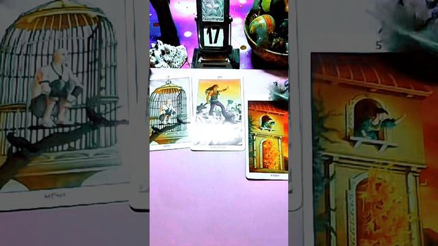  Карта дня 17.04.2026 