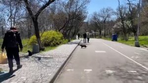 АРХИВ. Одесса 19 апреля 2022 года. Обстановка в городе. Прогулка