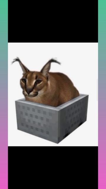 ШЛЁПА ЛЕГЕНДА