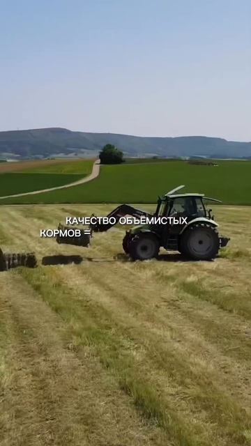 #кормозаготовка #крс #сенаж #кормопроизводство #силос #агрошкола #заготовкасилоса #апк #зоотехния