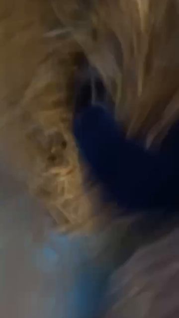 Посмеялись и хватит🙈