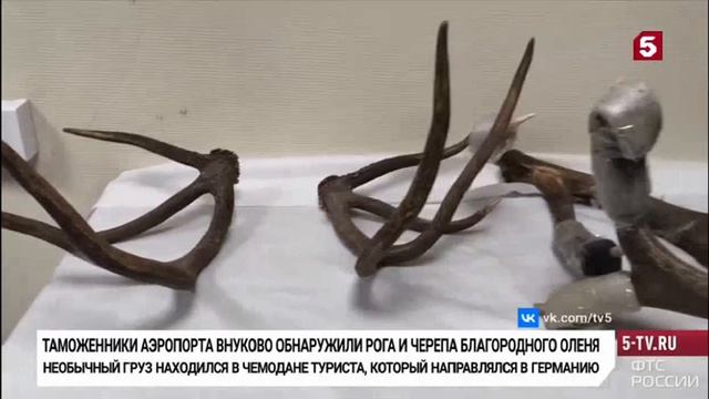 Телеканал «Пятый», программа «Новости», 15.04.2026