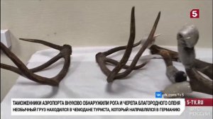 Телеканал «Пятый», программа «Новости», 15.04.2026