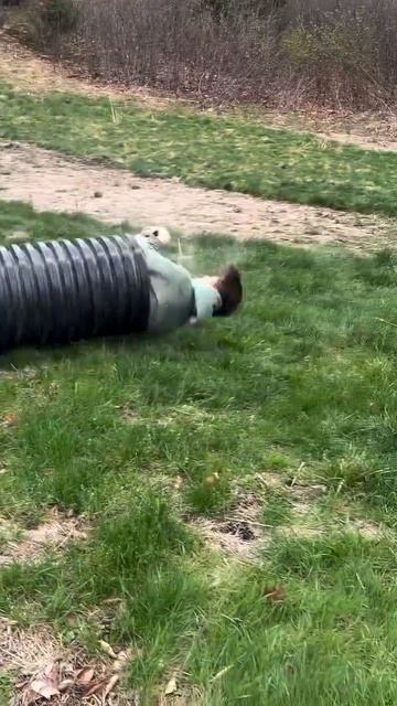 Видео от Веселый бункер