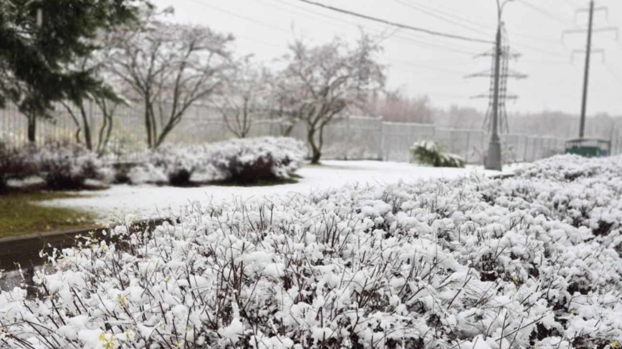 Снегопады, заморозки и гололедица ожидаются в Москве. Грозы с дождями в Минске. Погода в СНГ