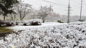 Снегопады, заморозки и гололедица ожидаются в Москве. Грозы с дождями в Минске. Погода в СНГ