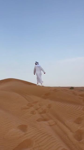 Возвращение шейха в сафари в Дубае