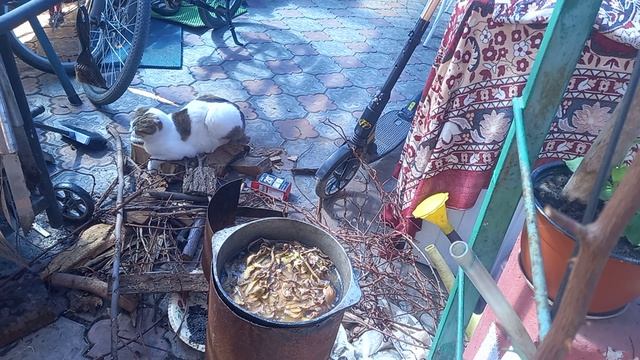 Вчера работала до вечера, закат был в чёрных тучах.