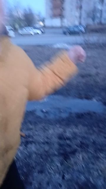 Вова в речке