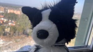 🌻~распаковка~с WB~🌻