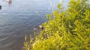 На озере за Краснодаром.mp4