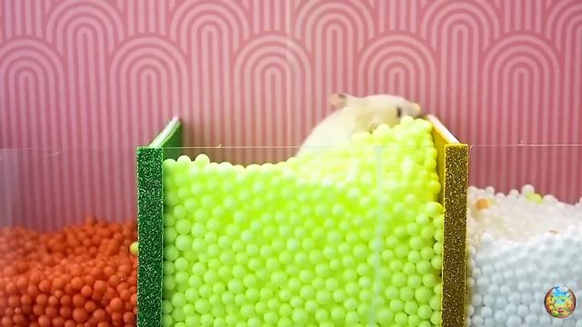 Хомячок убегает из конфетного лабиринта с детенышем акулы-хомячка-лабиринта! часть 6