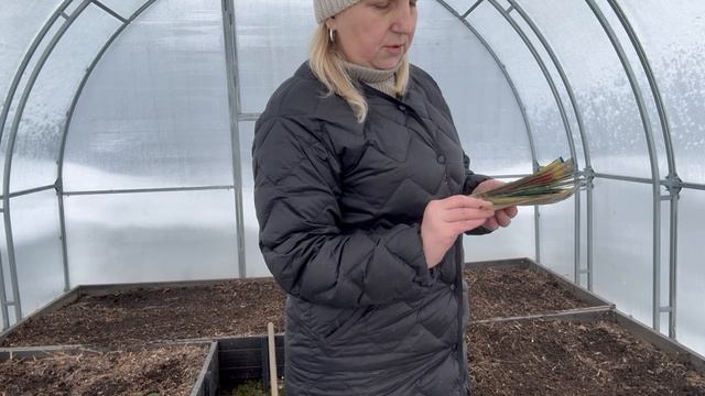 16 апреля, у нас зима, а я сею первую зелень🌱🌱🌱😱😱😱