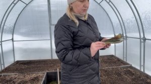 16 апреля, у нас зима, а я сею первую зелень🌱🌱🌱😱😱😱