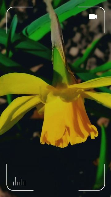 Мой новый фильм  Настоящая весна
  16 апреля