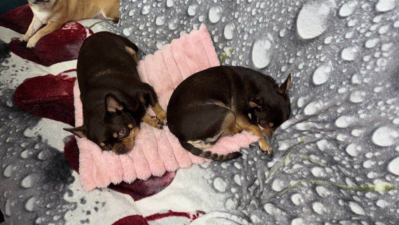 Доброго всем вечера и самой спокойной ночи.