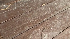 Первая поездка на дачу,снега куча,и ещё пока зима 🥶