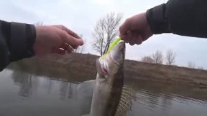 АВАНТЮРА ВЕКА! ТАКОЕ ВПЕРВЫЕ В ЖИЗНИ! Зимняя рыбалка 2025.