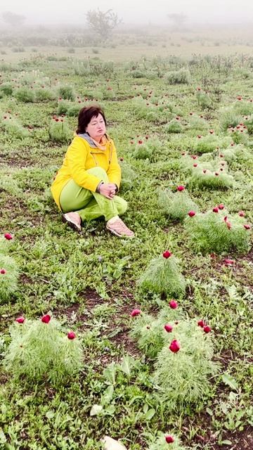 Флорассвет