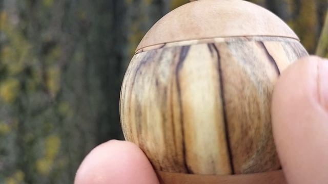 Шкатулка в дупле ивы