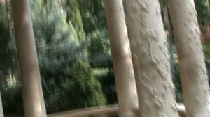 35)КАБАРДИНКА СТАРЫЙ ПАРК(2015 ГОД)