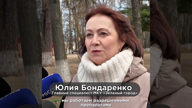 🍃  Во Владимире стартовал сезон защиты деревьев и зеленых насаждений!