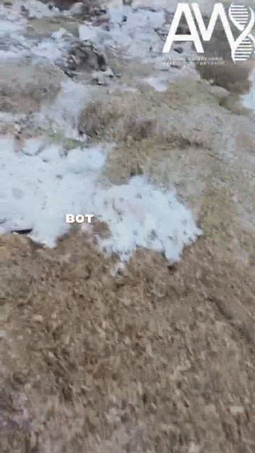 Отзыв о Silo Twice  зоотехния кормозаготовка крс силос сенаж апк животноводство комбайны