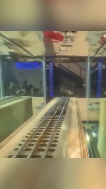 Прыгать в движущийся поезд… ради науки!