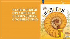 Урок 26. Взаимосвязи организмов в природных сообществах