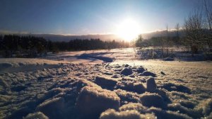 В. Тушнова.  Сто часов счастья