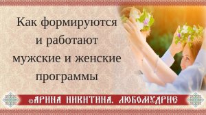 Мужские и женские программы | Как формируются программы | Арина Никитина