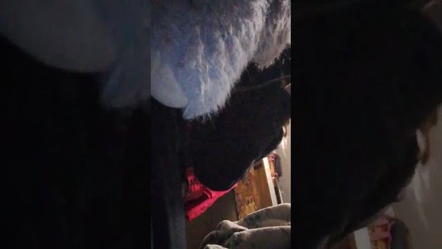 ответ на вопросы