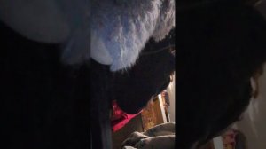 ответ на вопросы