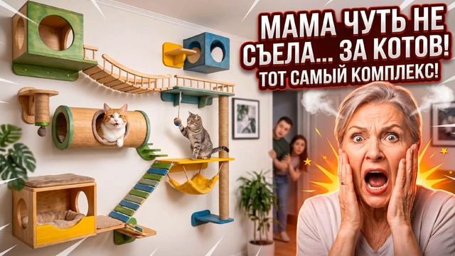 Истории из Жизни - Обустроили настенный игровой комплекс для котов