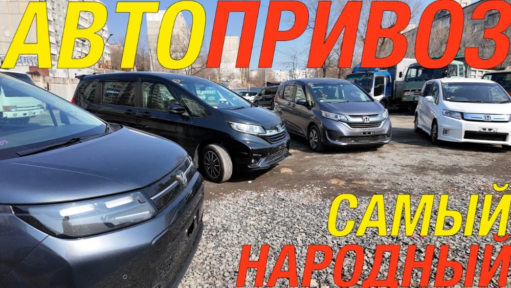 3 ПОКОЛЕНИЯ ФРИДОВ