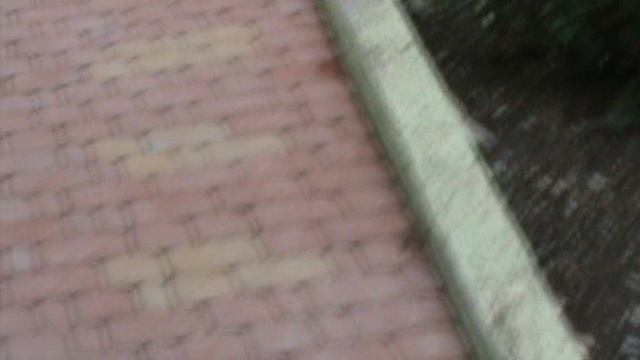 74ГЕЛЕНЖИК САФАРИ ПАРК2015 ГОД