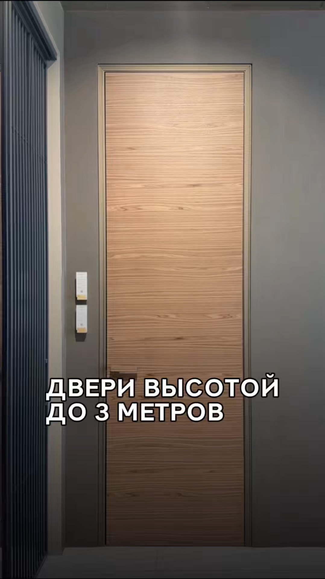 Двери высотой до 3 метров