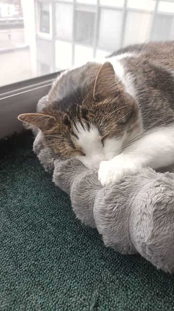 Балконный снюк