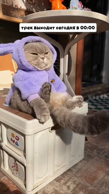 майлз растопила