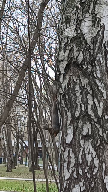 апрель- парк 2026