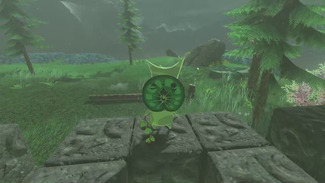 Головоломка Корока