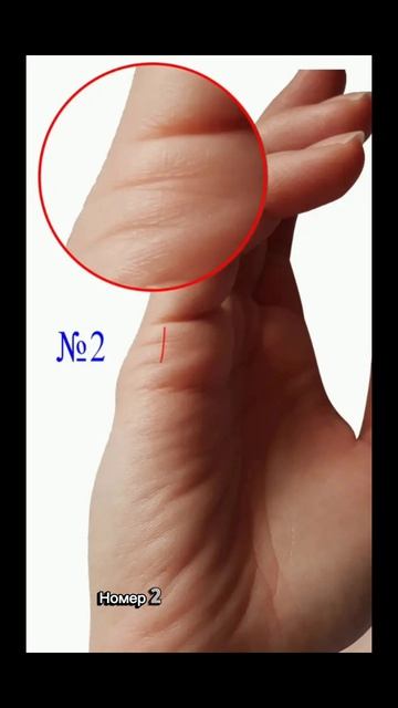 Линии детей на руках