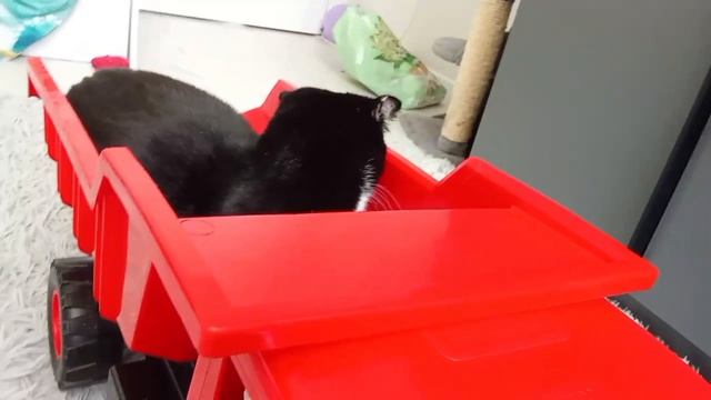 бесконечная дорога сериал 1 серия