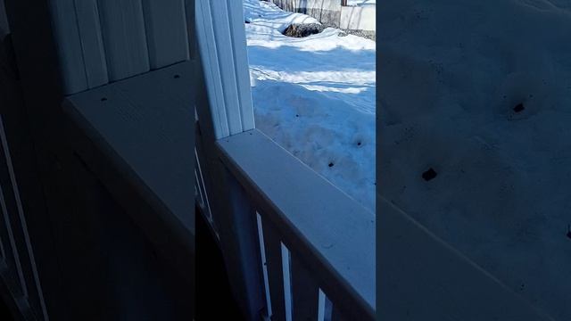 Извините, что не обратилась на вы)
 Просто скидывала человеку))
 подписывайтесь!